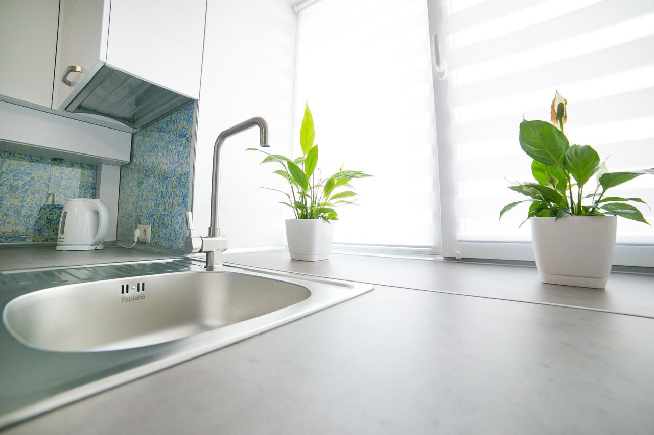 Апартаменты Elegant VIP apartment Сумы