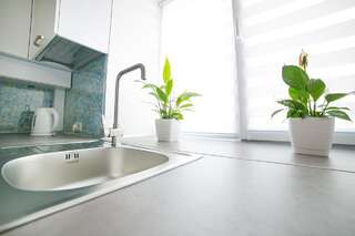 Апартаменты Elegant VIP apartment Сумы-2